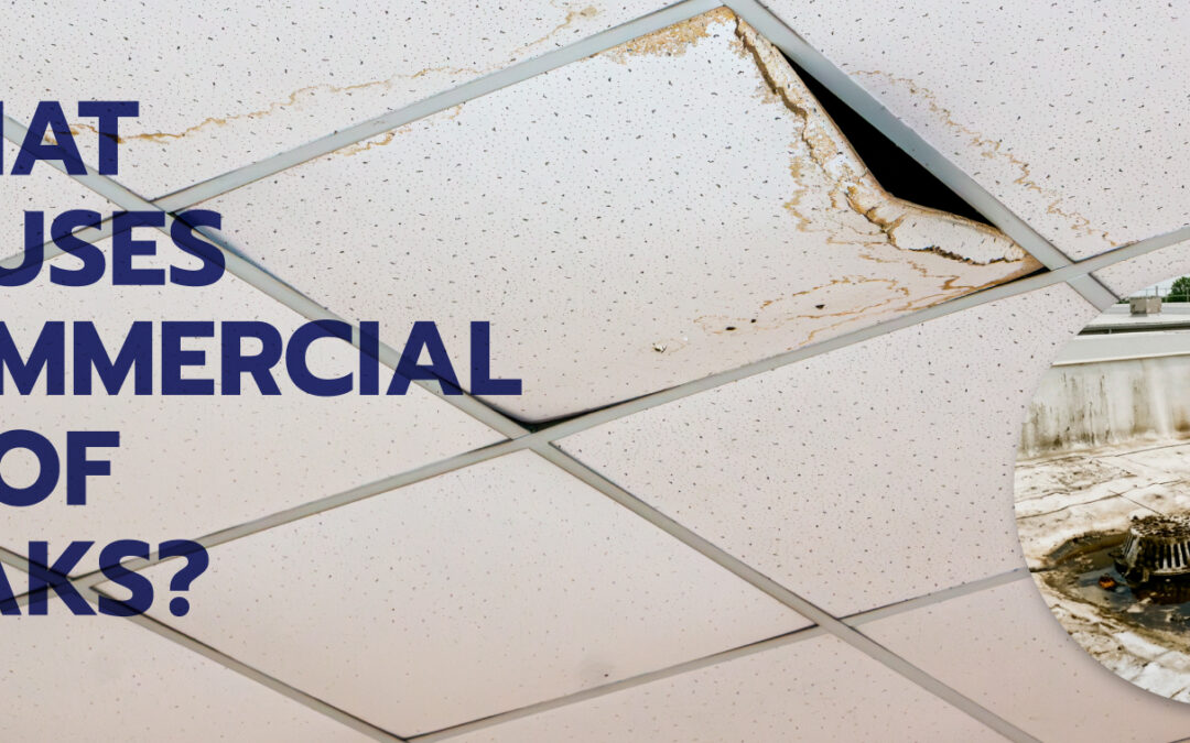 What Causes Commercial Roof Leaks?